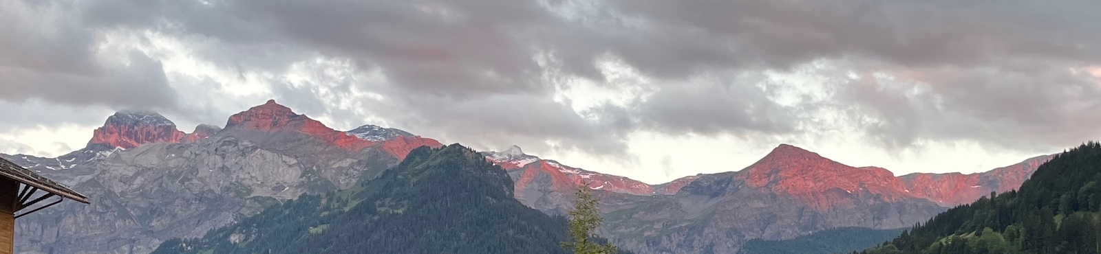 Panorama