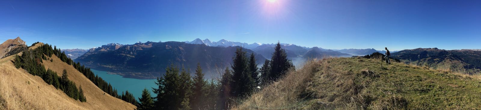 Panorama
