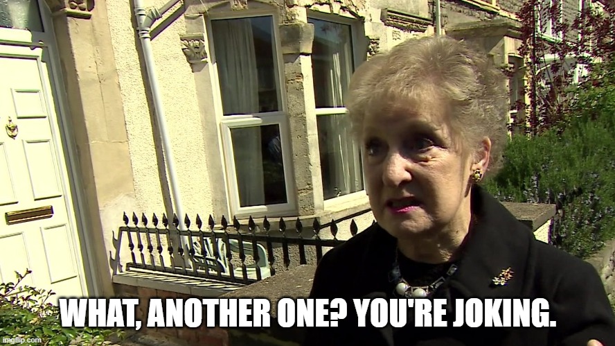 'What, another one?! You're joking!' meme featuring Brenda from Bristol